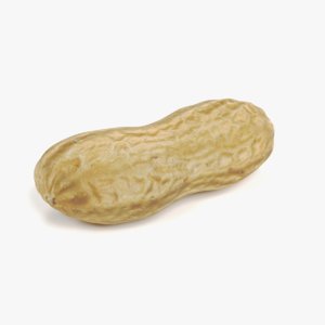 peanut husk model