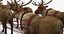 3D santa sleigh reindeers model