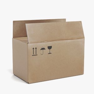 3D cardboard box 1 model
