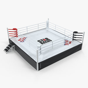 3D complete competition boxing ring