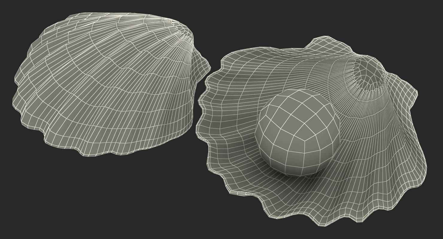 pearl shell 3d model