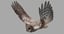 great horned owl 3D model