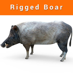 3D wild boar rigged ready model