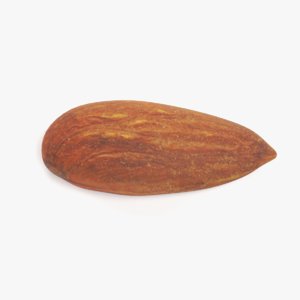 almond nut pbr 3D model