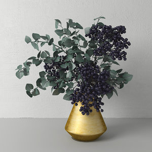 3D bouquet elderberry model