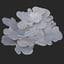 coral montipora bush 3D model