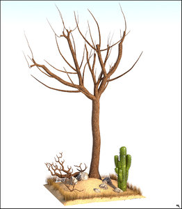 3D tree desert cactus