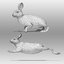 3D rabbit hair animations model