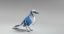 blue jay animations 3D model