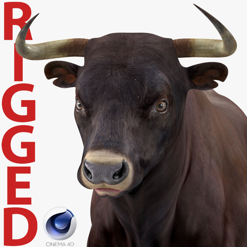 3D bull rigged - TurboSquid 1244091