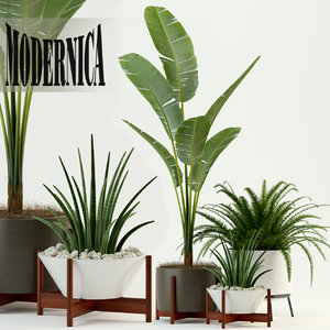 3D plants 76 modernica pots