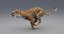 3D realistic tiger fur animation model