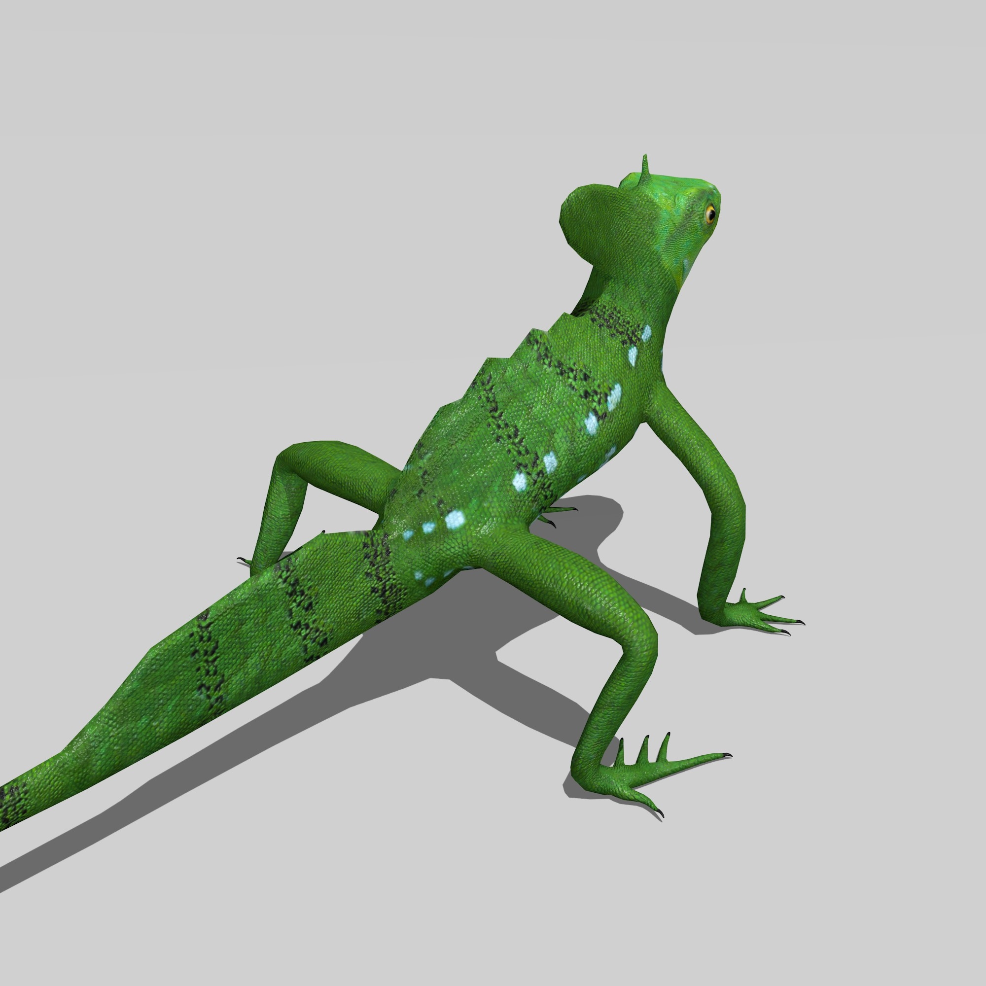 3D basilisk lizard model TurboSquid 1244687
