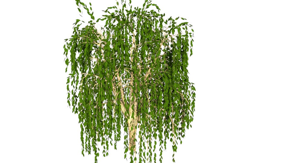 Willow tree 3D model - TurboSquid 1245166