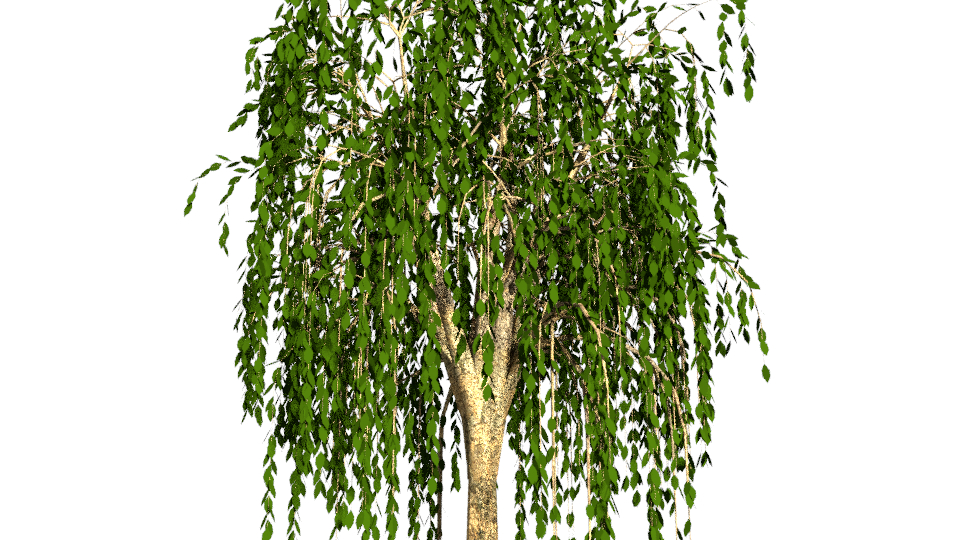 Willow tree 3D model - TurboSquid 1245166