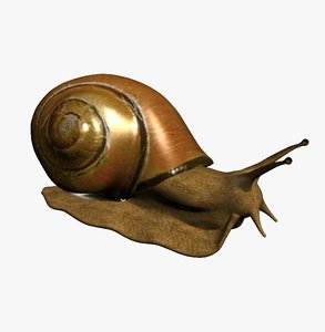 snail 3D