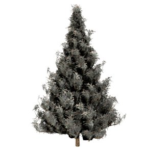 spruce tree snow model