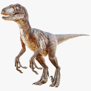 realistic raptor 3D model