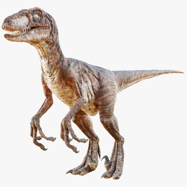 Realistic raptor 3D model - TurboSquid 1245365