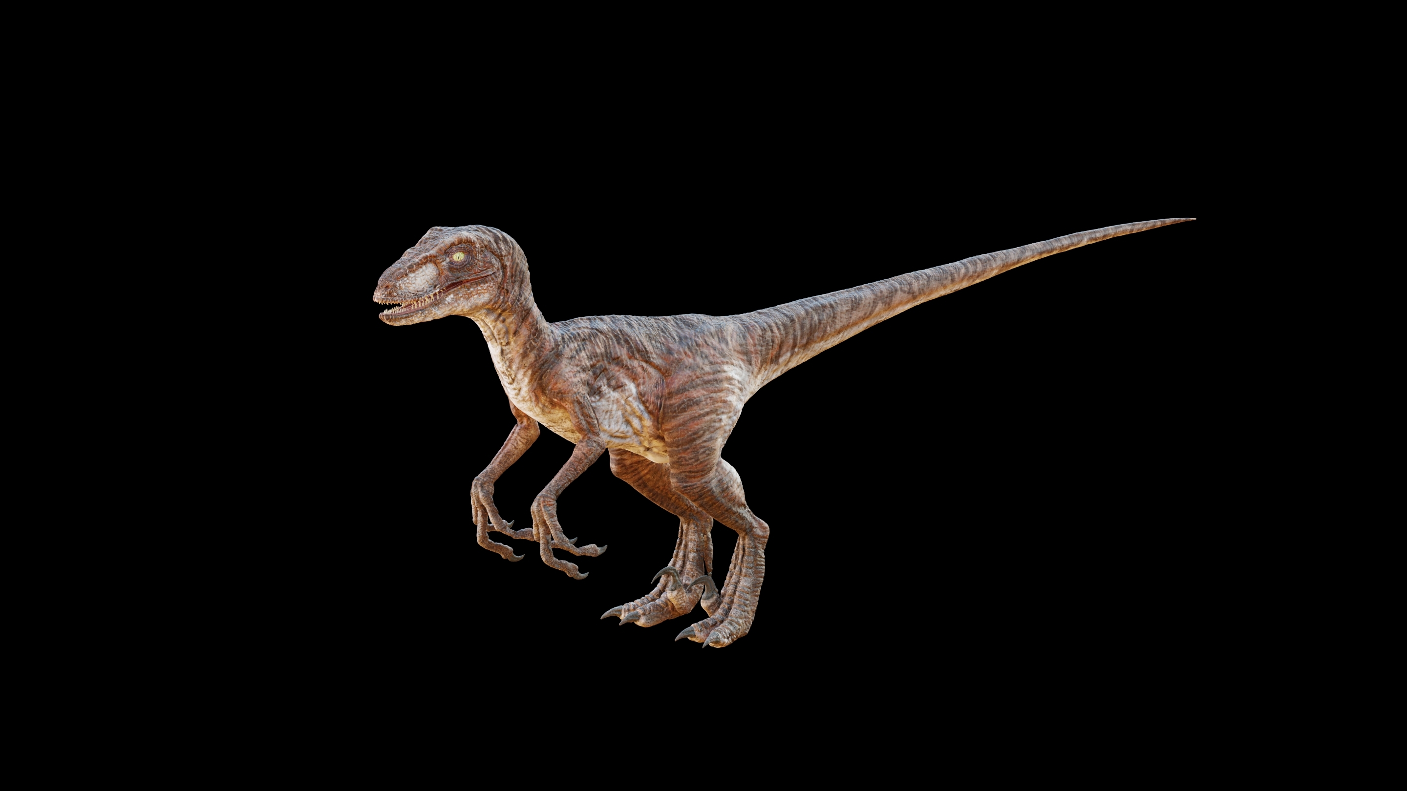 raptor realistic