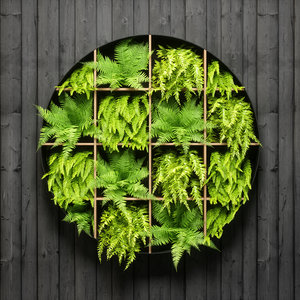 fern wall panel model
