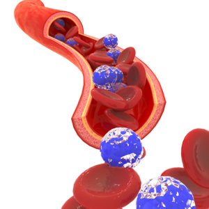 cells vessel 3D model