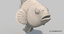 3D clownfish animation