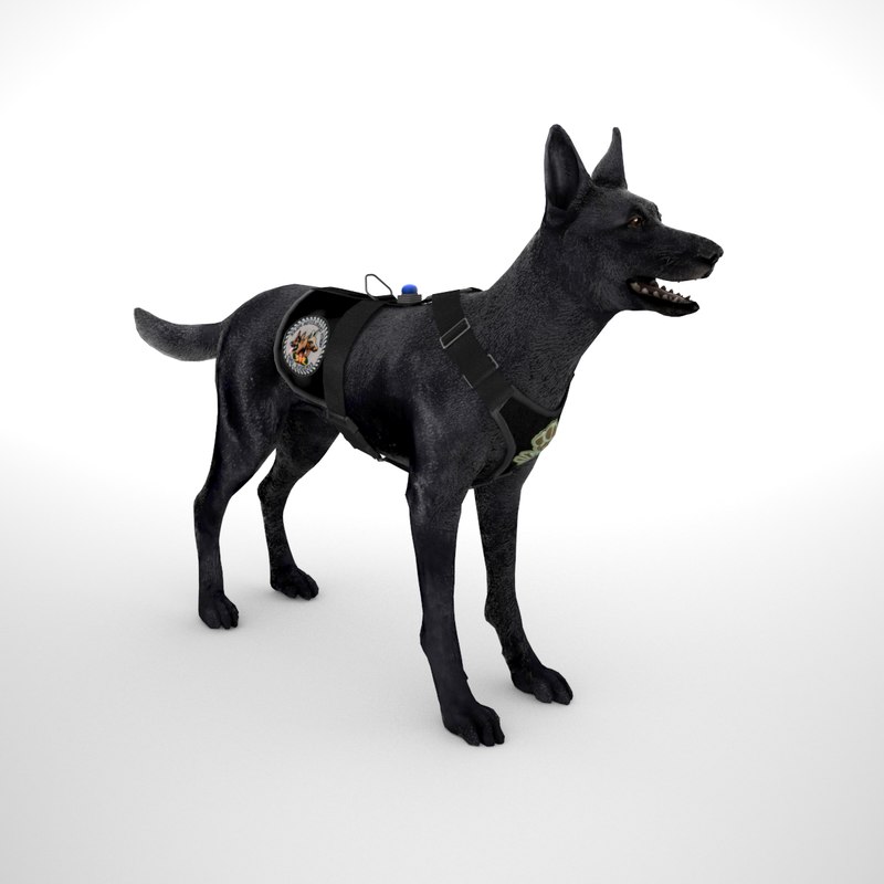 belgian malinois harness