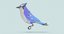 bird----blue-bird-perching model