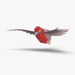 3D model bird----red-bird-flying
