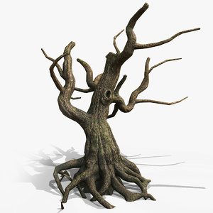 3D dead tree roots