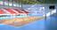 volleyball arena volley model