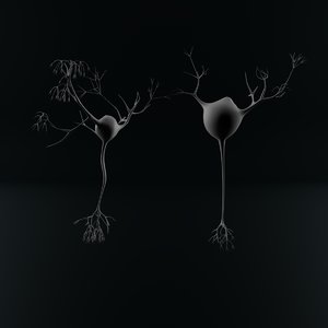 3D neuron