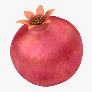 3D realistic pomegranate fruit model