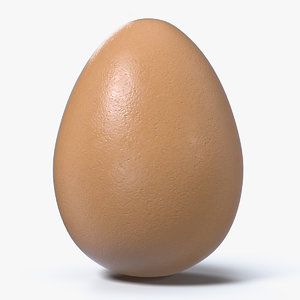 3D model animal egg