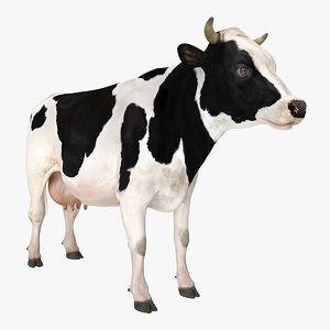 Cow 3d Models For Download Turbosquid