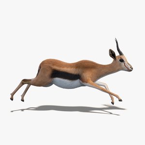 3D gazelle fur animation rig model