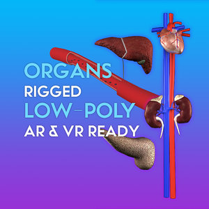 3D low-poly organ pack vr
