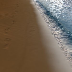 3D model beach footprint foot
