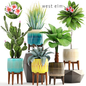 3D model plants pots west