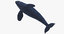 3D model killer whale rigged