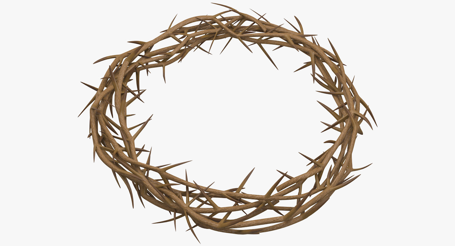 Crown thorns 3D model - TurboSquid 1259680