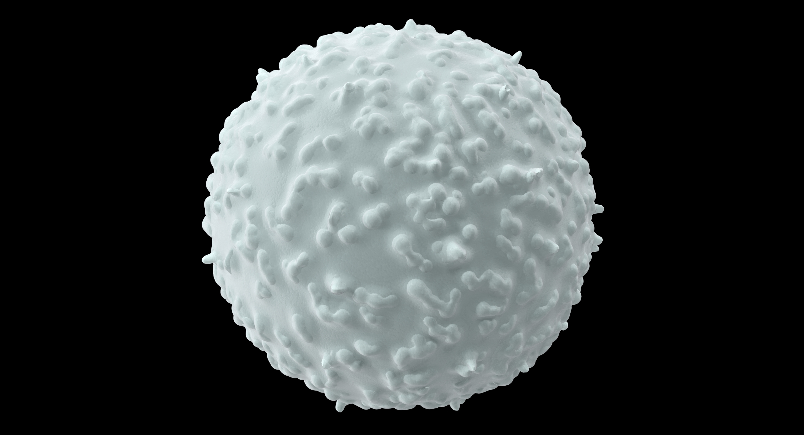 white blood cell 3d