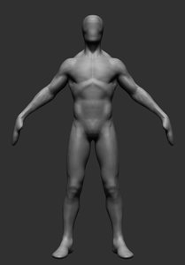 無料人体解剖学3dモデルダウンロード用 Turbosquid