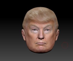 3D trump head model