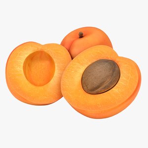 realistic apricot 3D