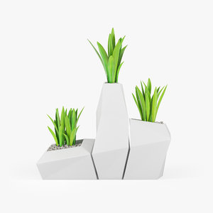 3D plant model