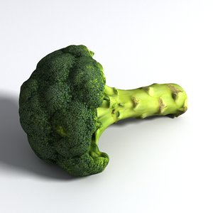 3D model broccoli