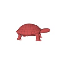 3D base mesh tortoise model