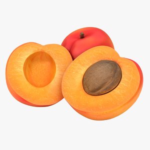 realistic apricot color 2 3D model